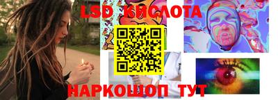 PSILOCYBIN Камышлов