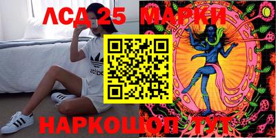 PSILOCYBIN Камышлов