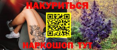 мдпв Кандалакша