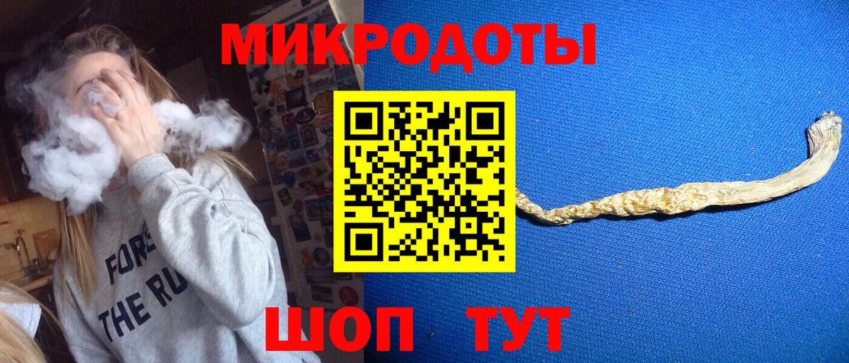 сколько стоит  Галлюциногенные грибы прущие грибы  Курчалой  Вход с VPN  Псилоцибиновые грибы мухоморы 