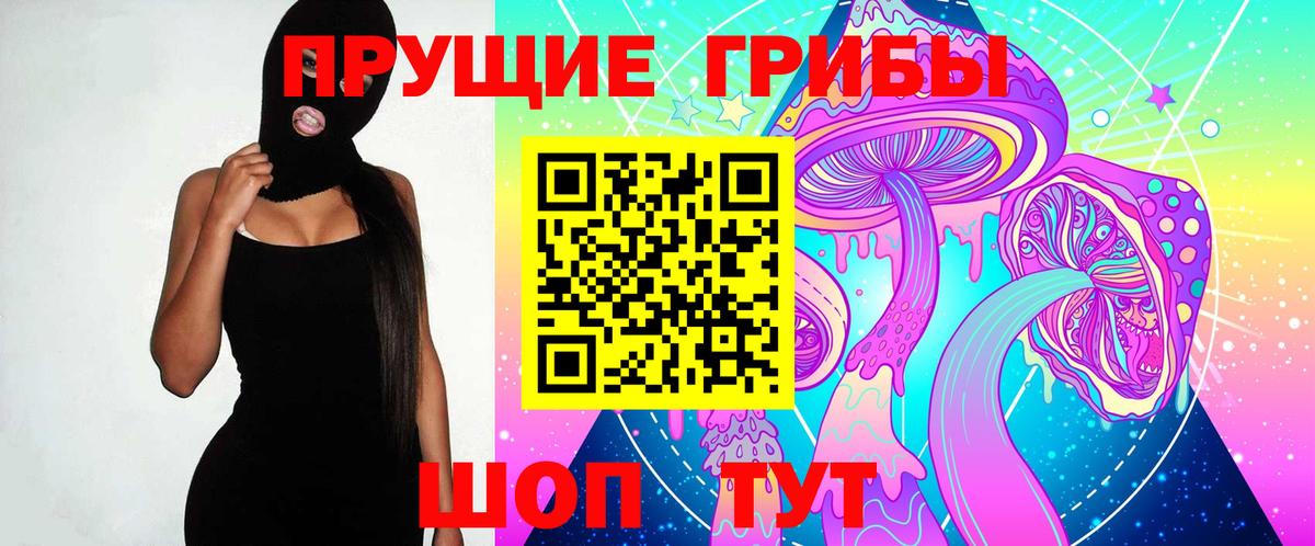 Галлюциногенные грибы прущие грибы Курчалой