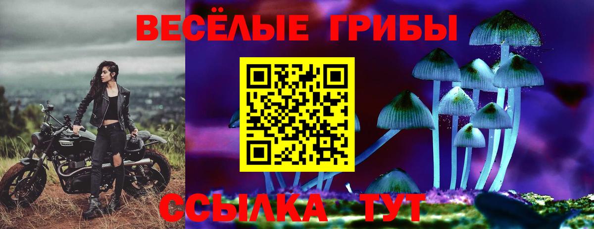 МДМА  КОКАИН  APVP СОЛЬ   Курчалой  Вход с VPN  Бошки Шишки  Гашиш  Меф  