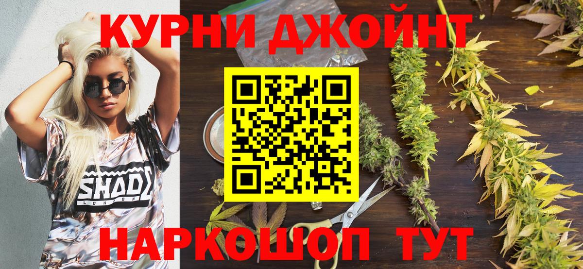 Канабис гибрид Курчалой